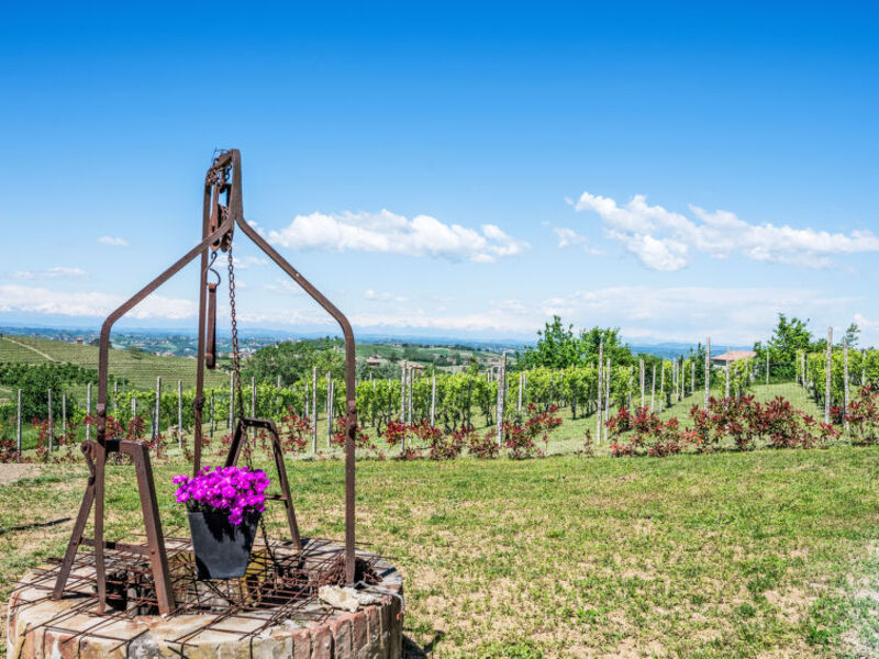 Cascina MonteRosa