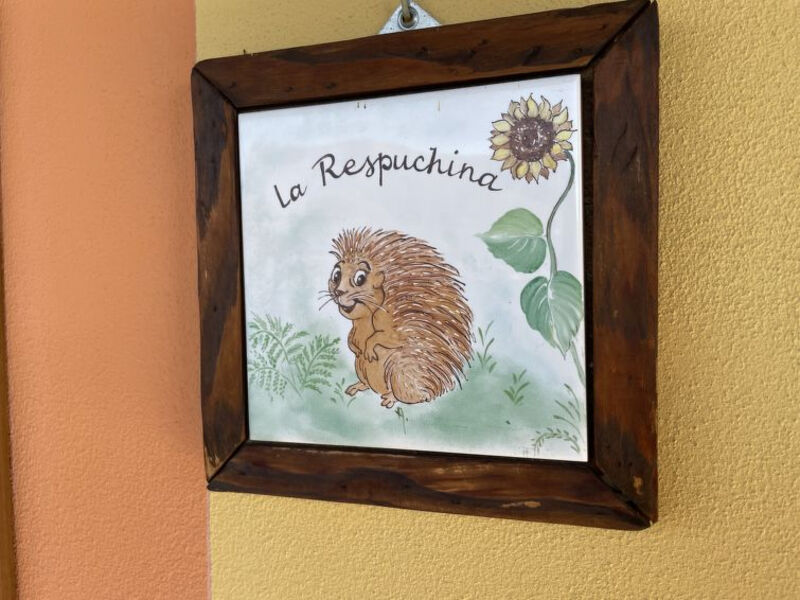 La Respuchina