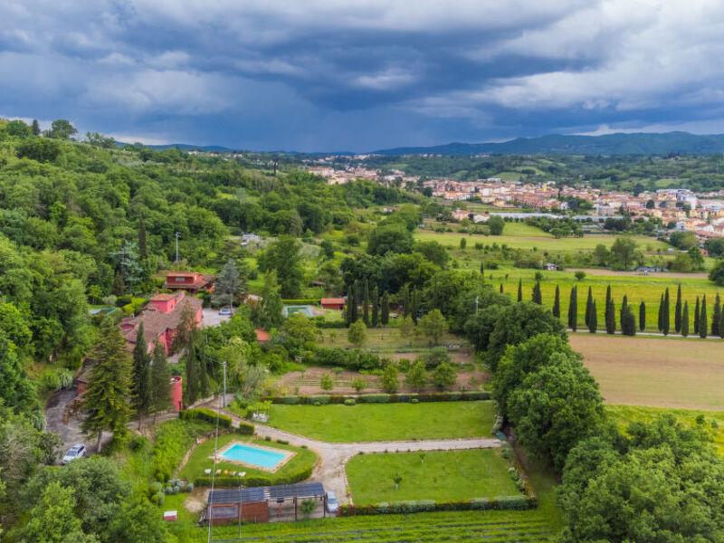 L'Orlo Del Bosco