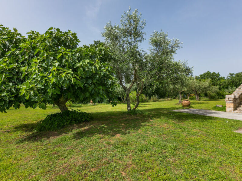 Antico Casale Il Piccione