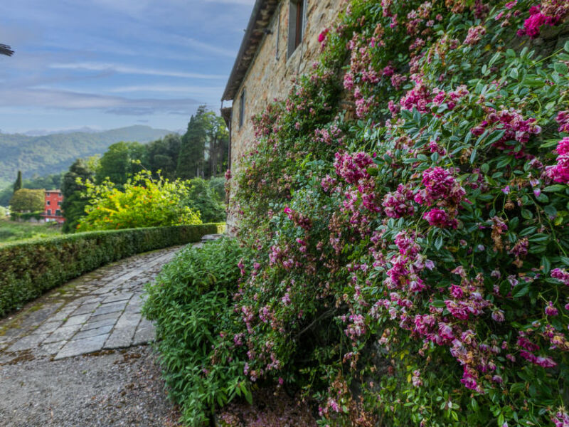 Fattoria Di Pietrabuona