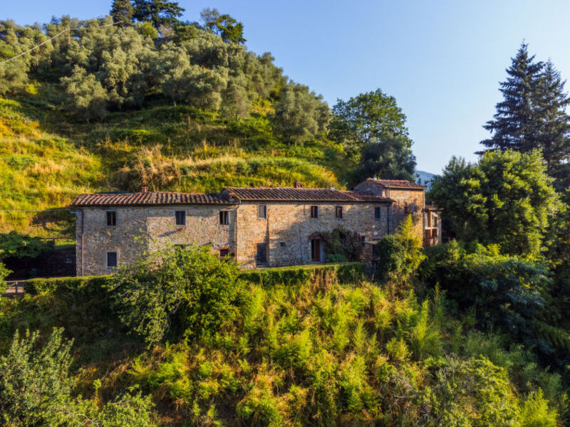 Fattoria Di Pietrabuona