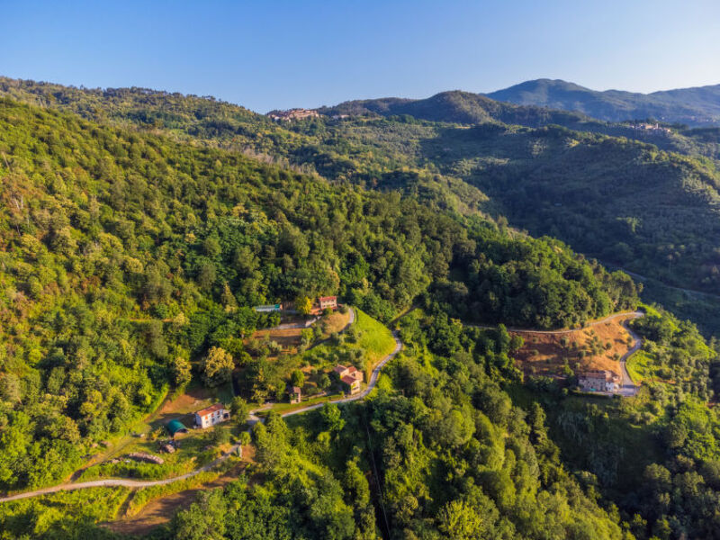 Fattoria Di Pietrabuona