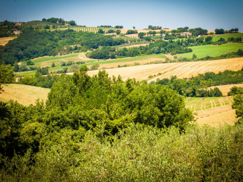 Tra Cielo e Terra