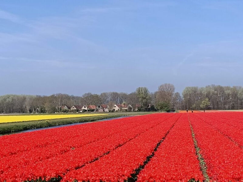 Duyndomein Noordwijk