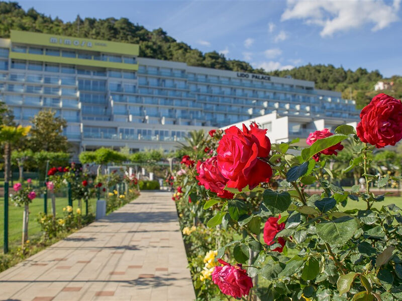 Hotel Mimosa - Lido Palace