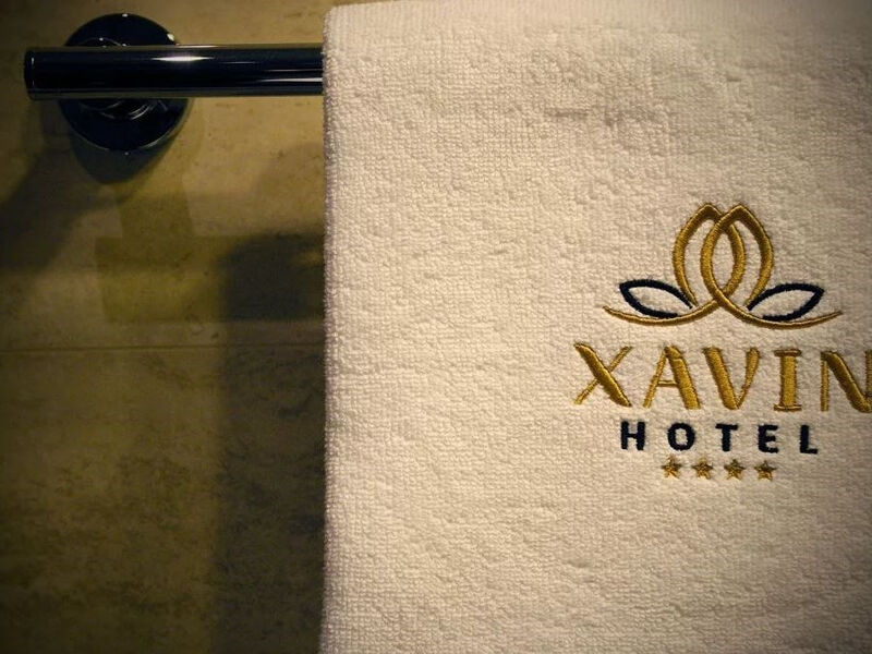 Hotel Xavin