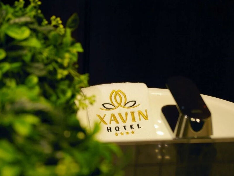 Hotel Xavin