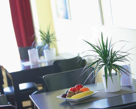 Best Western Amedia Passau