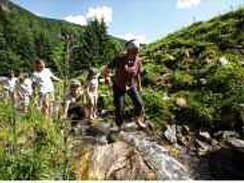 Familienferiendorf Kirchleitn Großwild