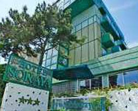 Hotel Soraya