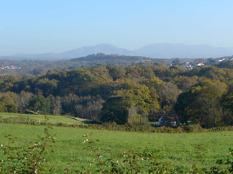 Chourrouta