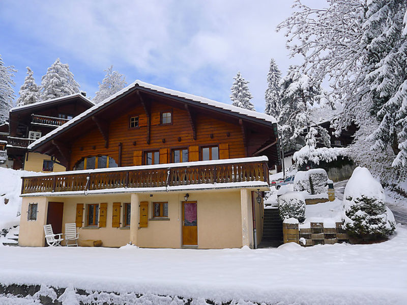 Chalet Le Hibou