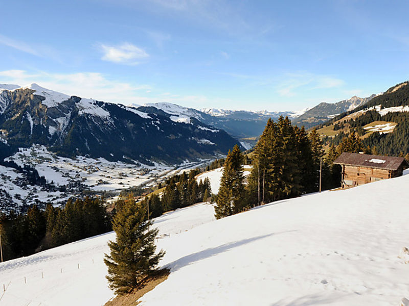 Chalet Bühlweidli