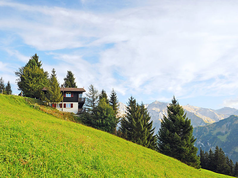 Chalet Bühlweidli