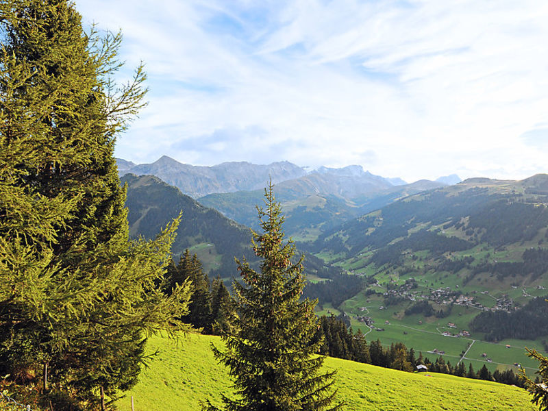 Chalet Bühlweidli