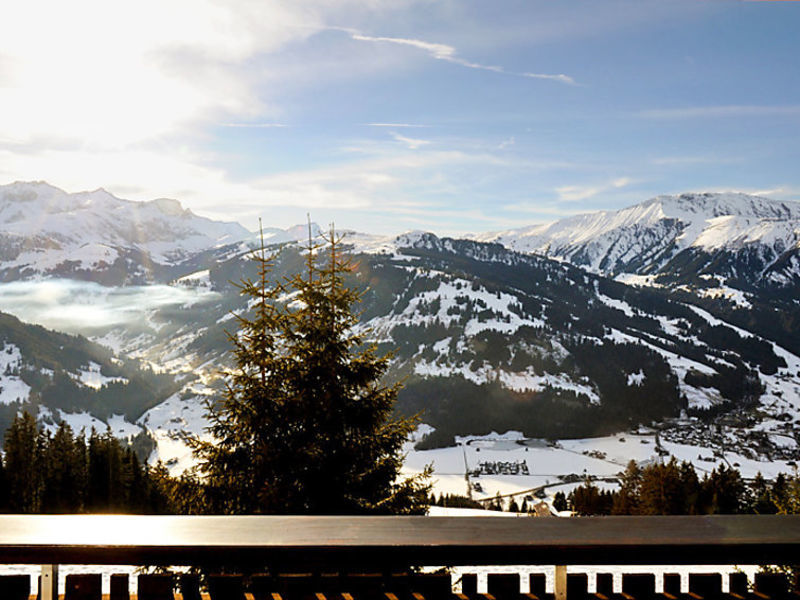 Chalet Bühlweidli