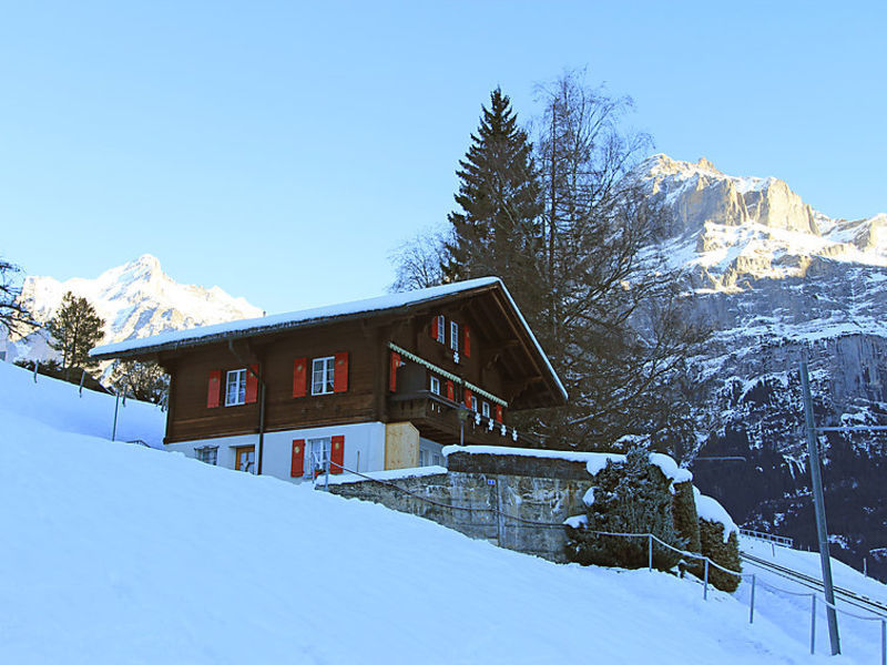 Chalet Bracher