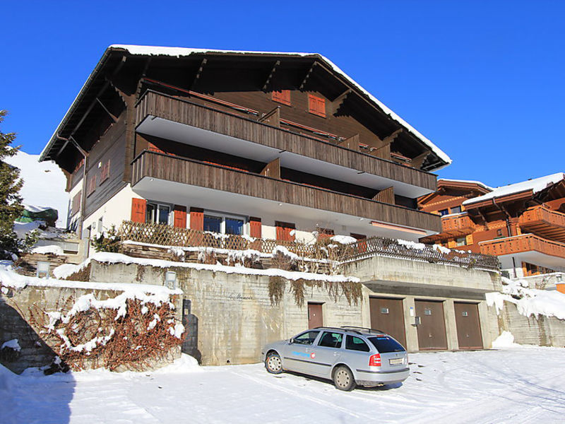 Chalet Le Manoir