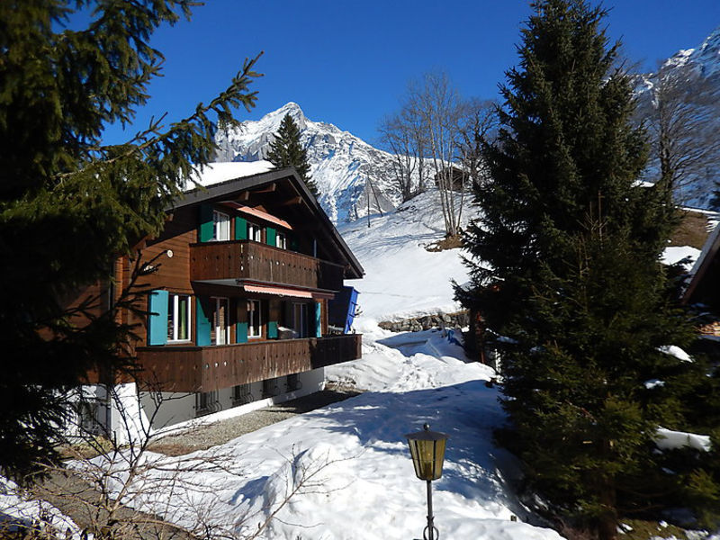 Chalet Bienli