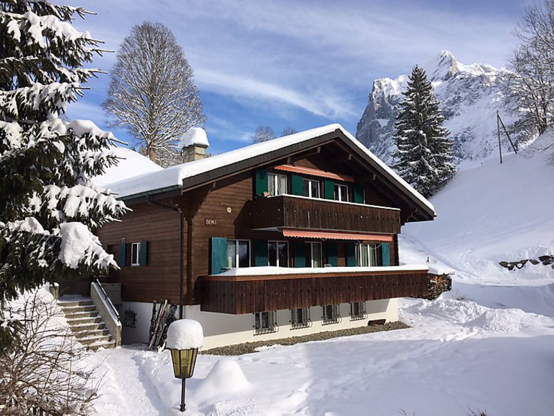 Chalet Bienli