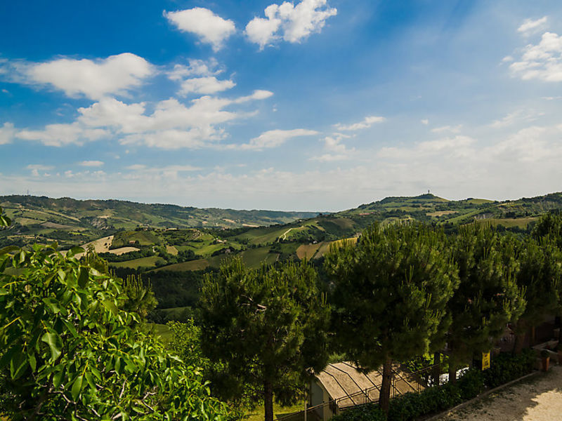 Tenuta Cocci Grifoni