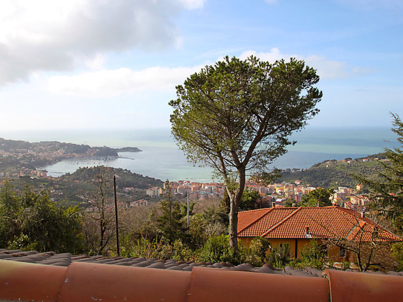 Il Mare Nel Bosco