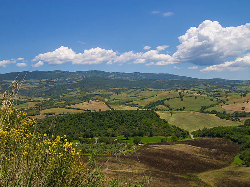 Podere San Lorenzo