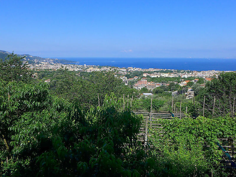 Azienda Agricola Barone