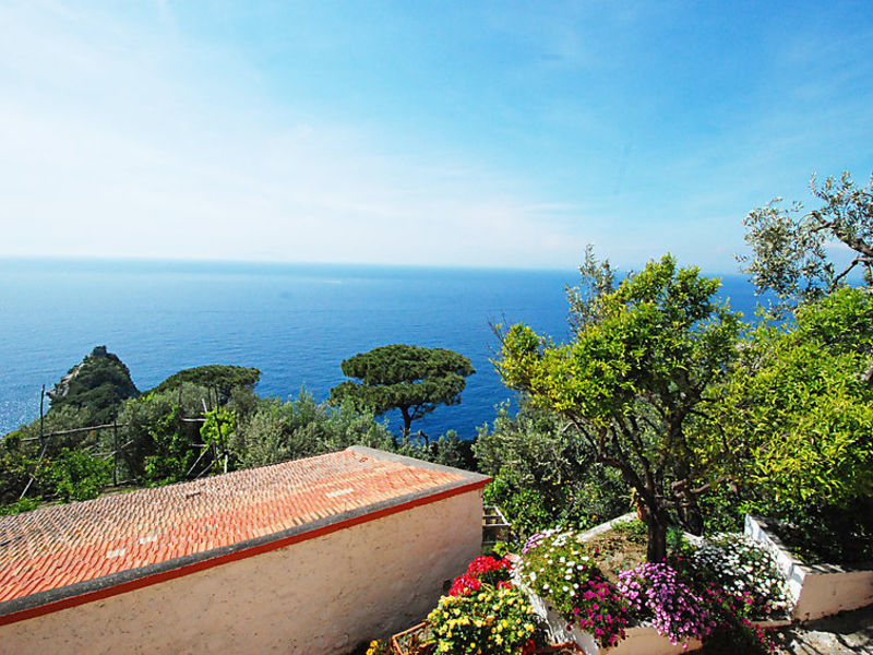 Don Luigino - Capri View