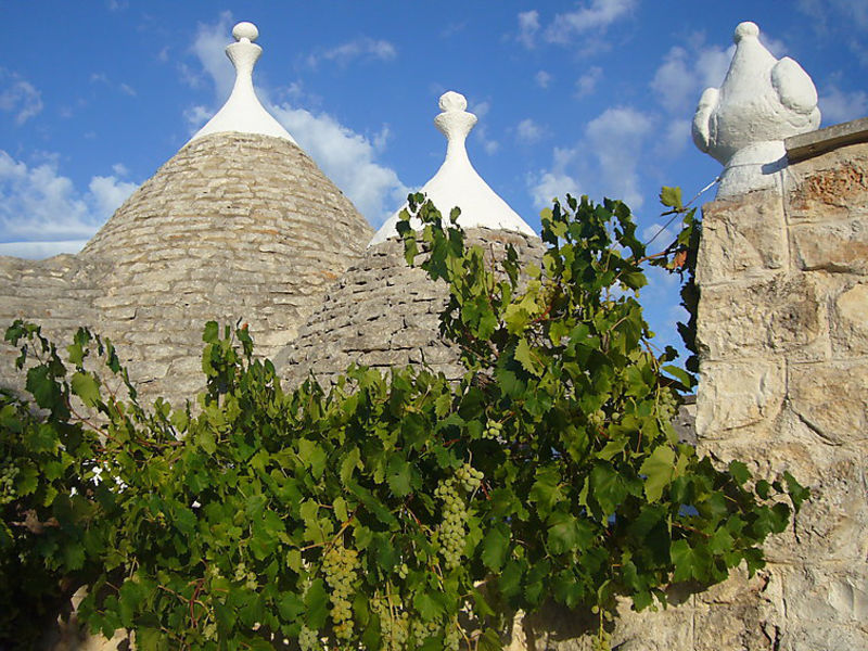 Trillo Trullo