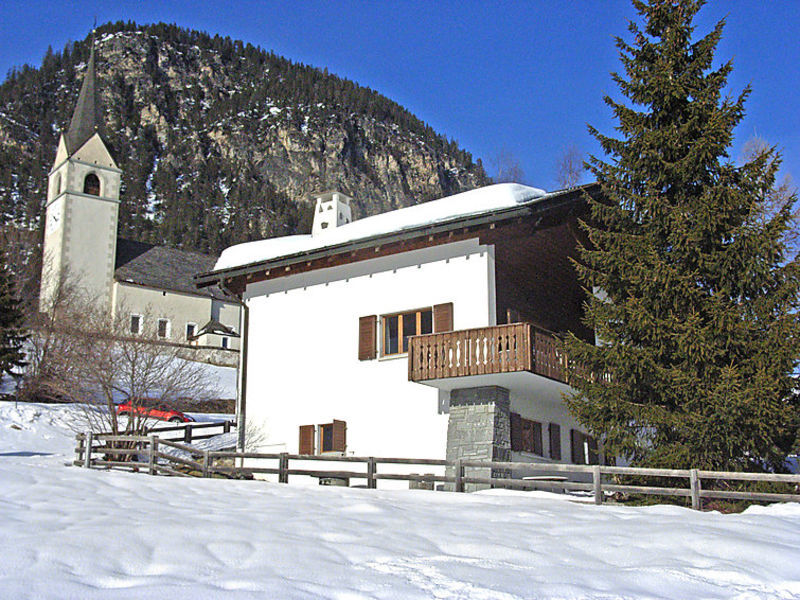 Albula