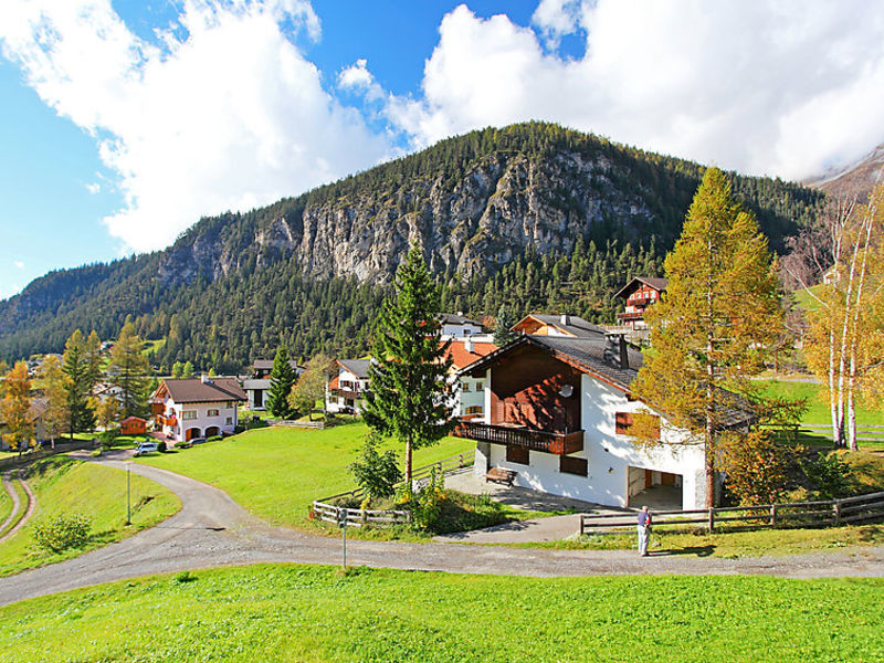 Albula