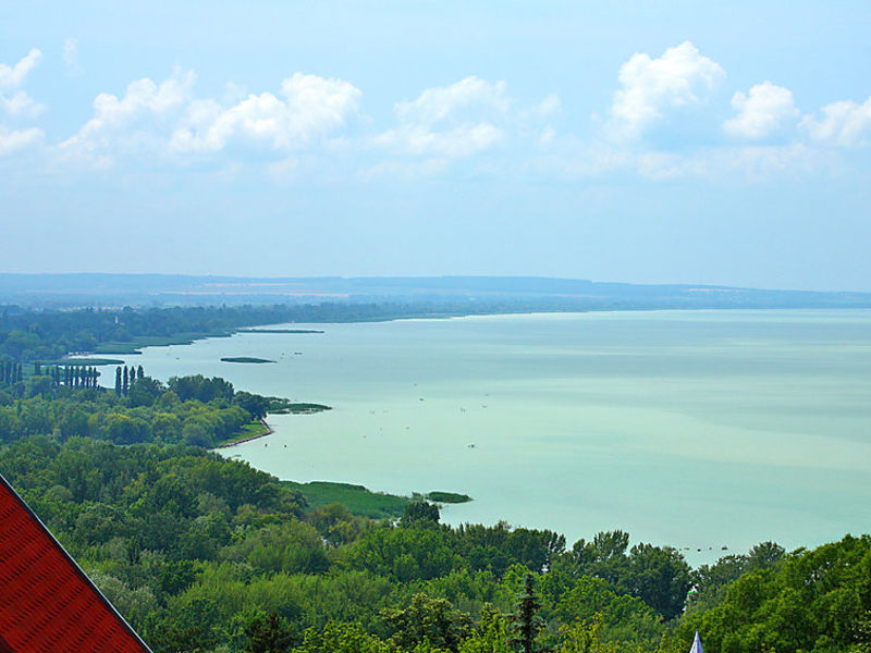 Balaton H315