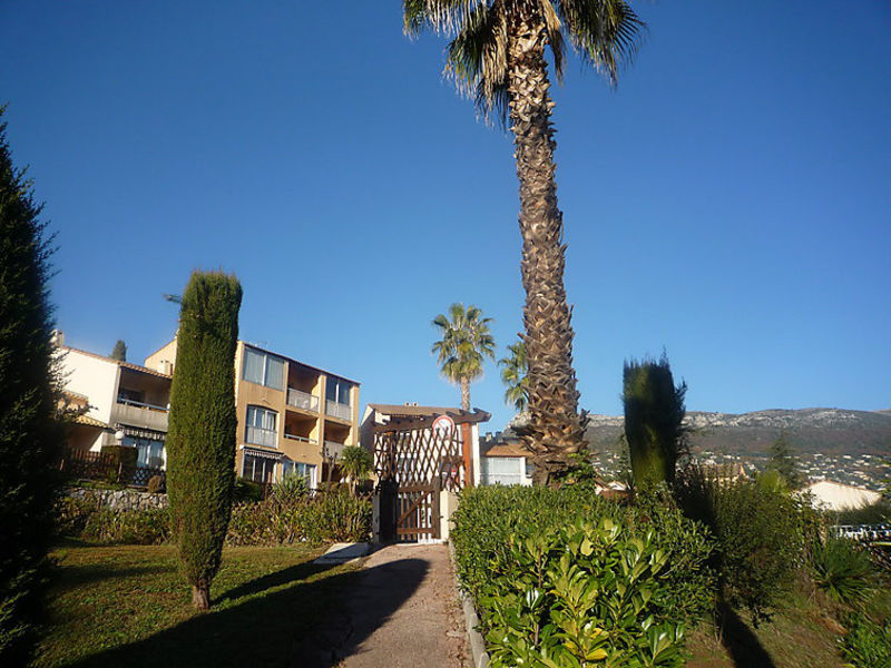 Le Jardin De Matisse