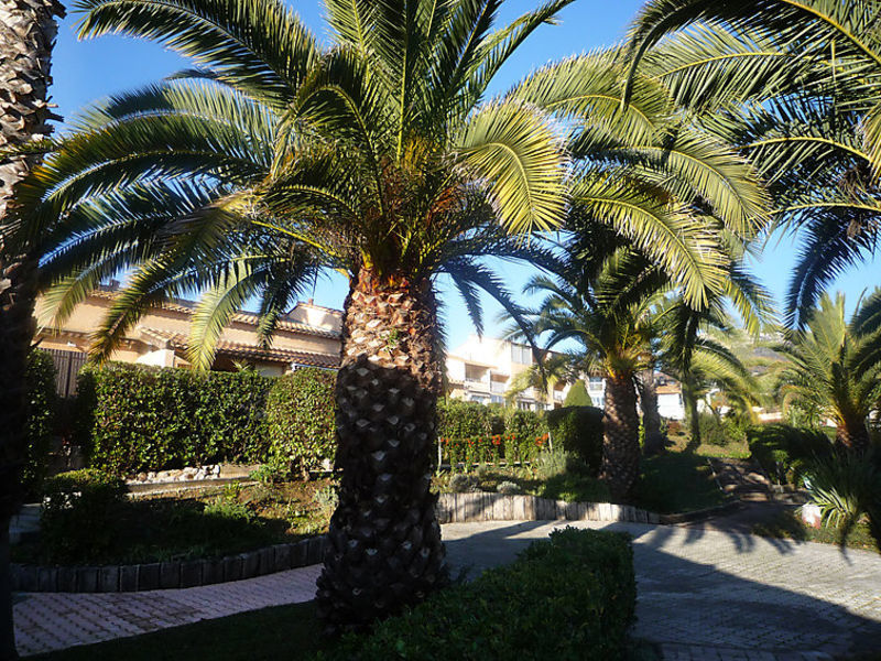 Le Jardin De Matisse