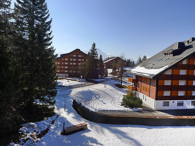 Chalet Merymont