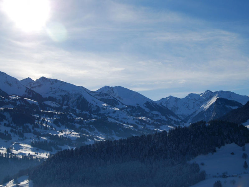 Ferienhaus Niesen View