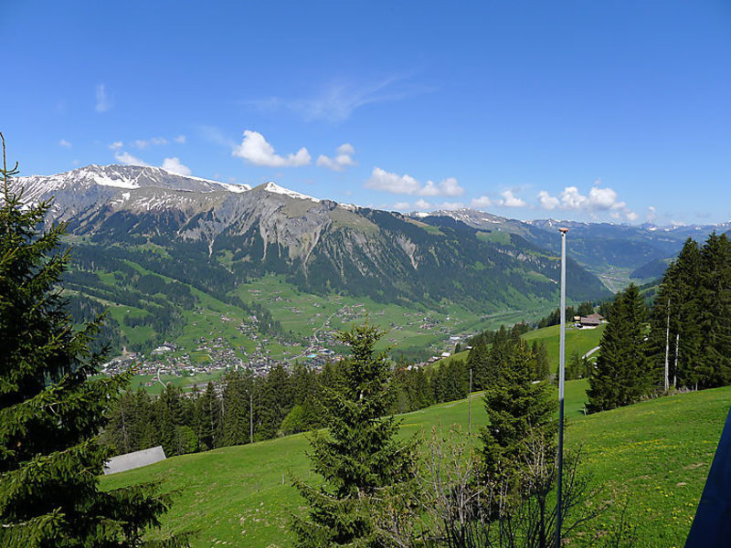 Chalet Bühlweidli