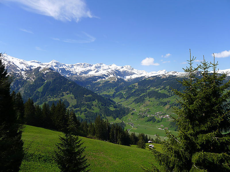 Chalet Bühlweidli