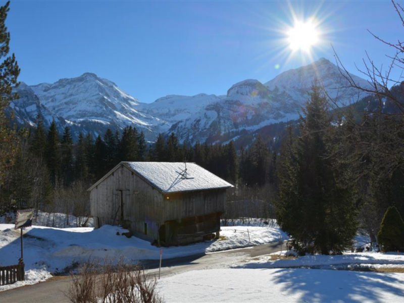 Minnehaha, Chalet