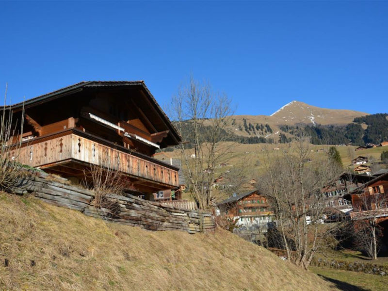 Marmotte, Chalet