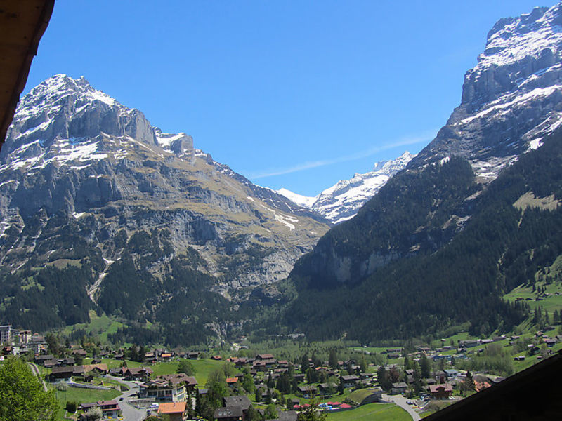 Mittelhorn