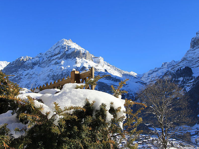 Chalet Le Manoir