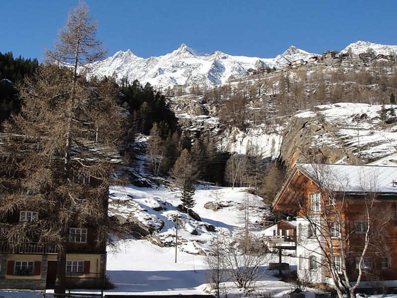 Haus Alpenstern, Wohnung Distel