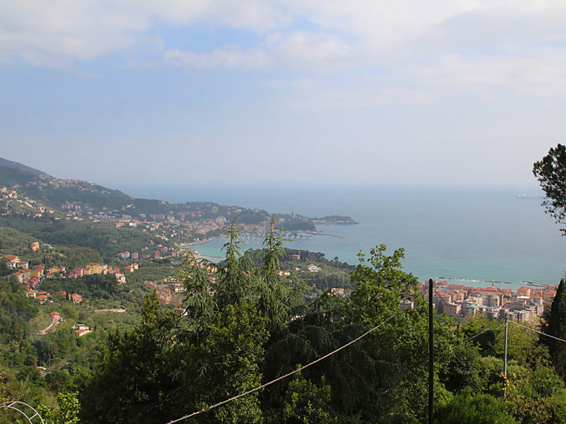 Il Mare Nel Bosco