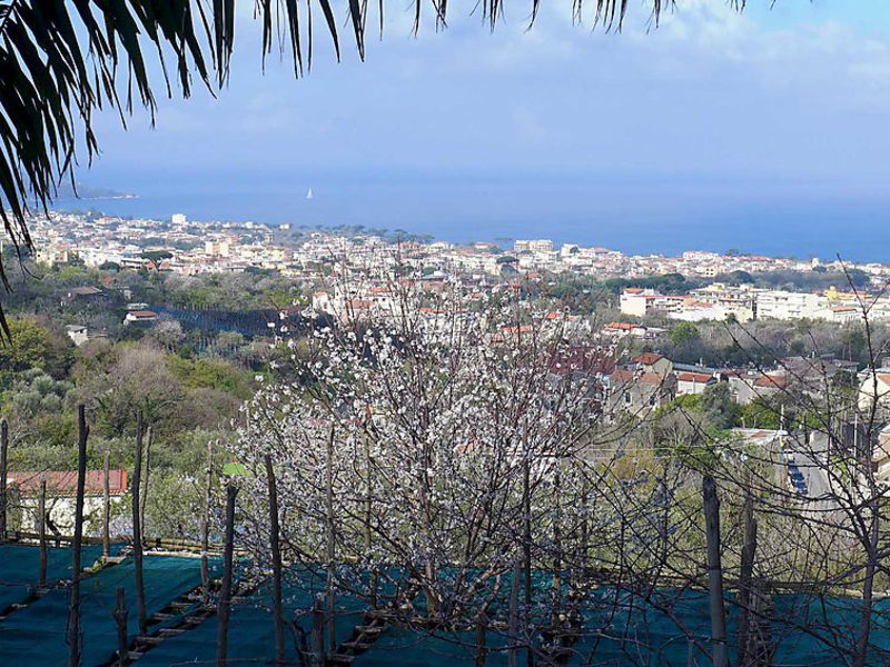 Azienda Agricola Barone