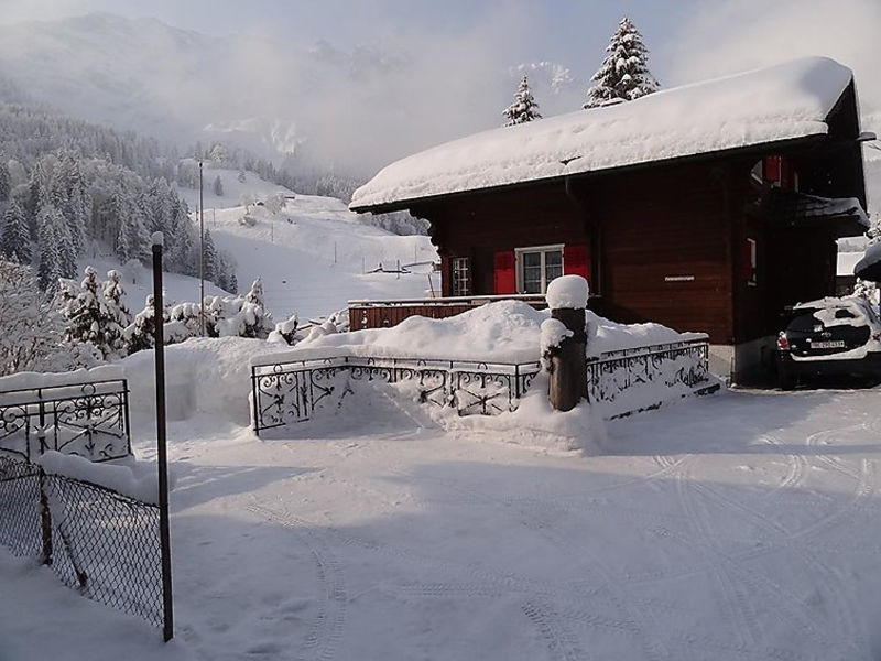 Chalet Spannortblick