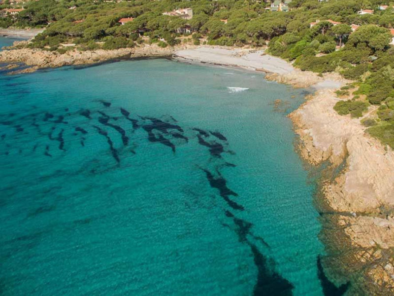 Piedi Nell’Acqua 3