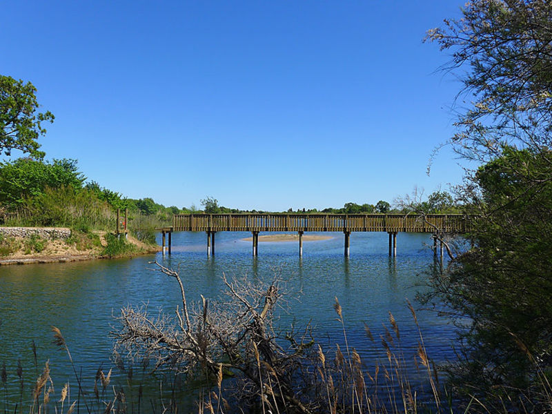 Les Mas De L'Etang